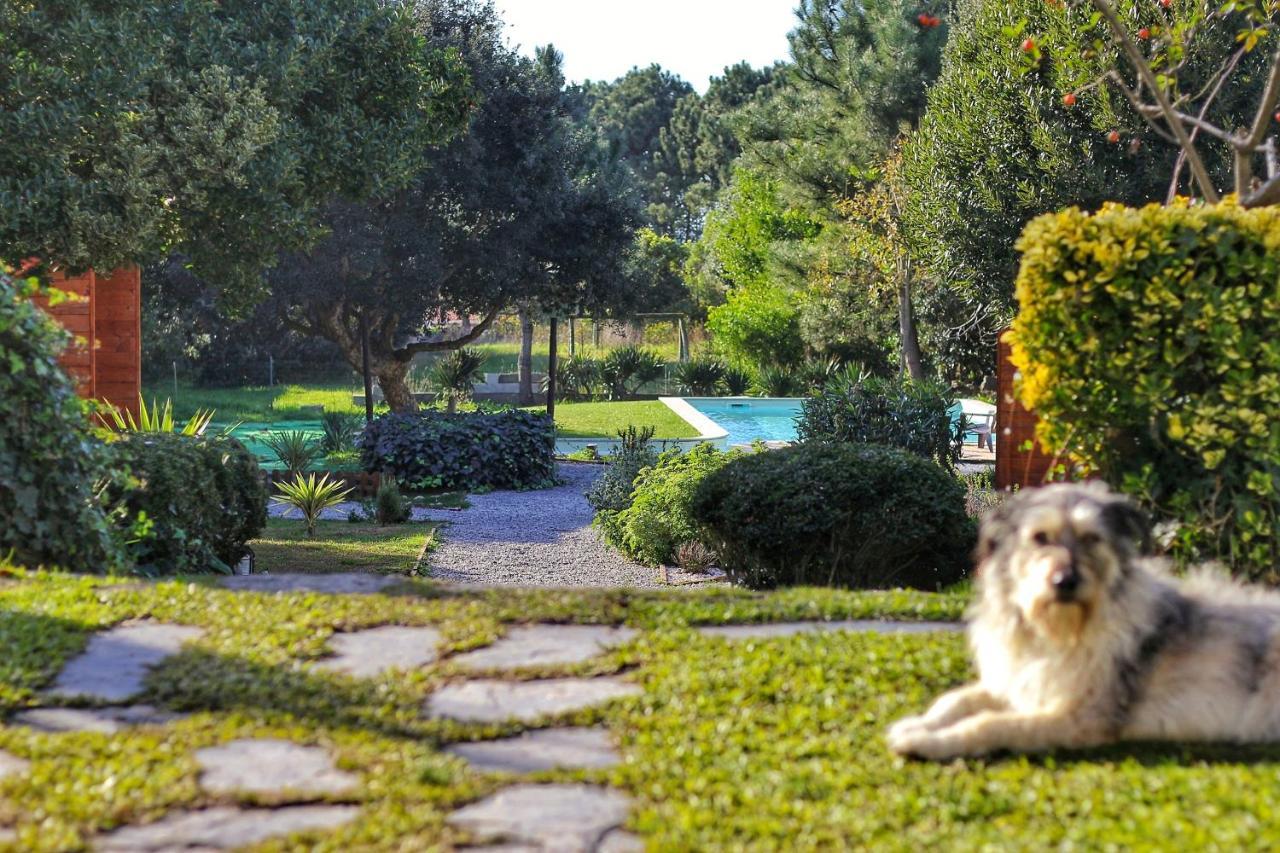 Salty Days Lodge Vila Nova de Gaia Exterior foto